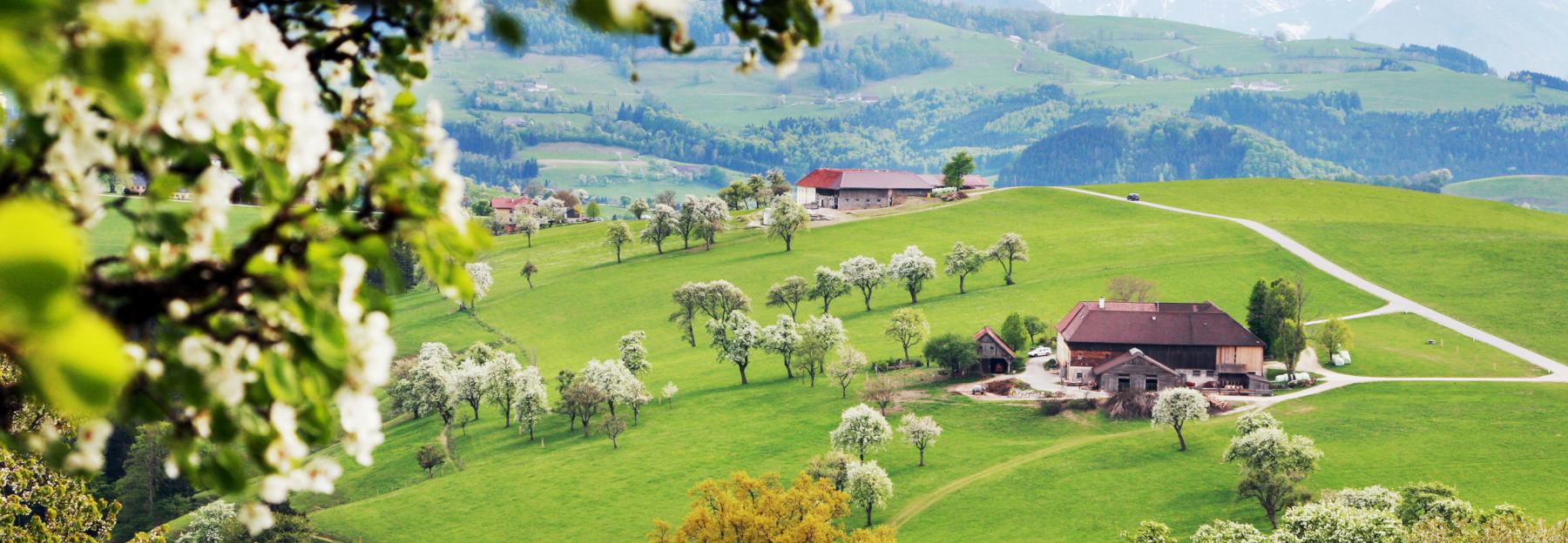 Landschaftbild vom Mostviertel