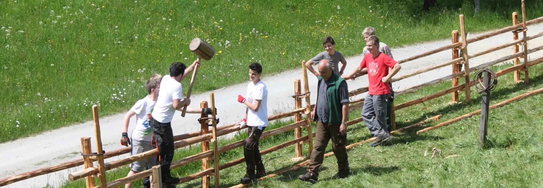 Jugendliche bauen einen Zaun auf einer Wiese