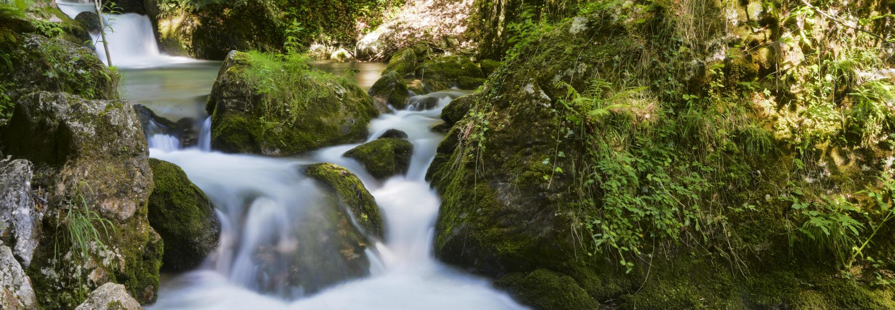 Wasserfall im Grünen