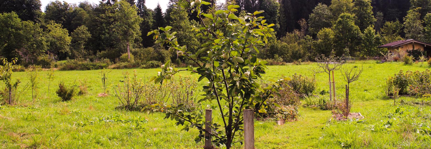 Naturschutzhof Going Artenreich