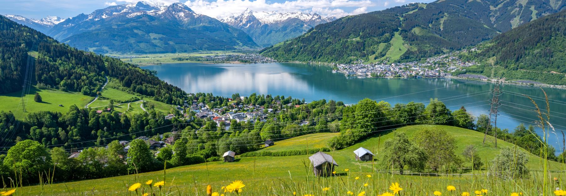 Wiese oberhalb von Zell am See