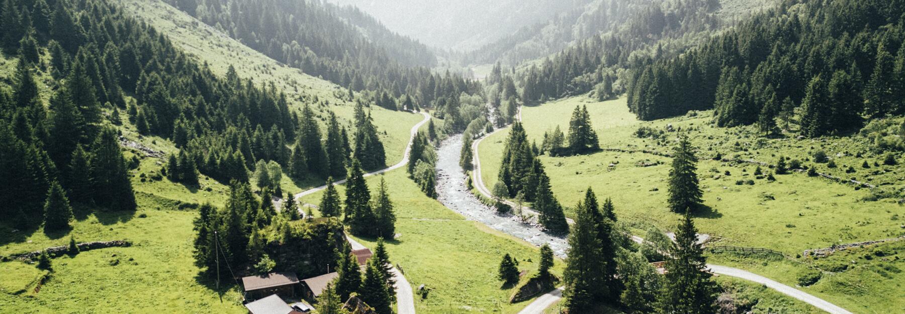 grünes Tal mit Fluss im Hintergrund Berge 