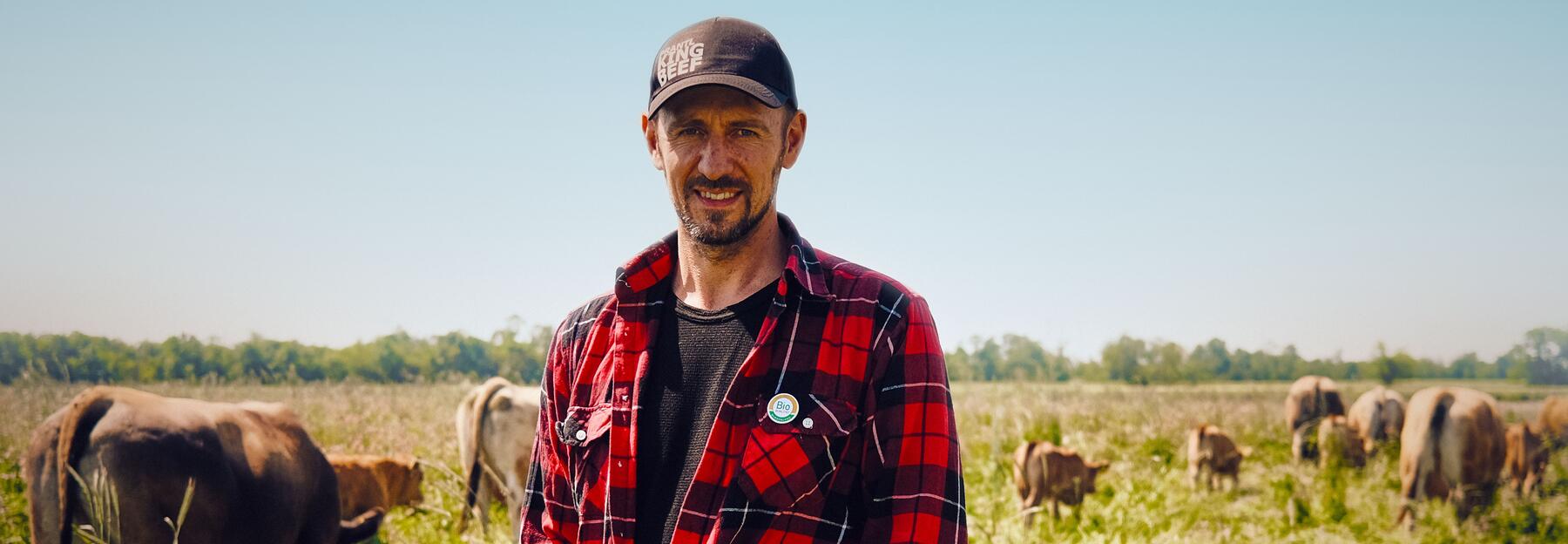 Ein Mann steht vor vielen Kühen auf einer grünen Wiese 