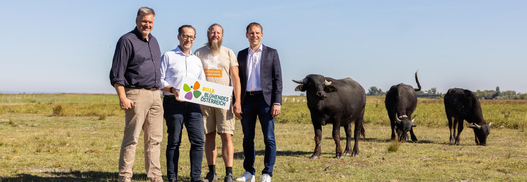v.l.n.r.: Johannes Ehrenfeldner (Direktor der Nationalparkgesellschaft Neusiedler See - Seewinkel), Robert Nagele (Vorstand BILLA AG und Blühendes Österreich), Alexander Ernst (Geschäftsführer des Regionalentwicklungsvereins Leiser Berge), Eric Scharnitz (Vertriebsdirektor BILLA AG) © Stefan Zamisch Vier Menschen stehen mit drei Wasserbüffeln im Hintergrund auf einer grünen Wiese