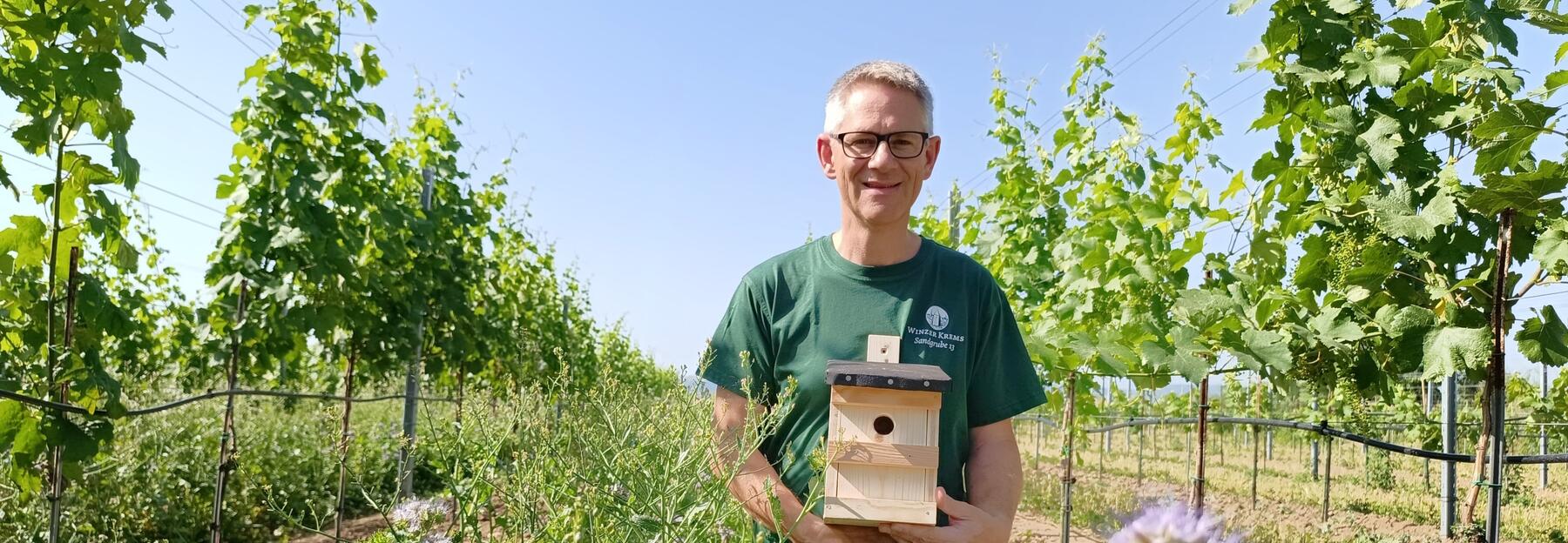 Wolfgang hamm winzer krems