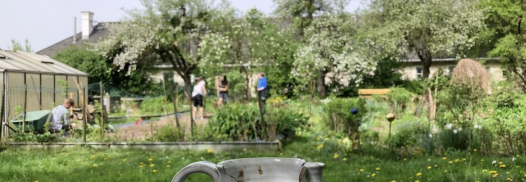 Streuobstwiese LFS Klessheim