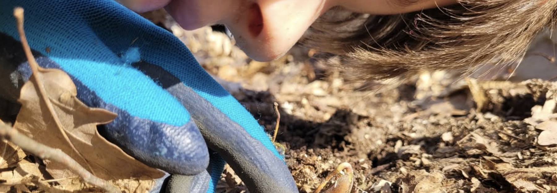 Junge mit keimender Eichel