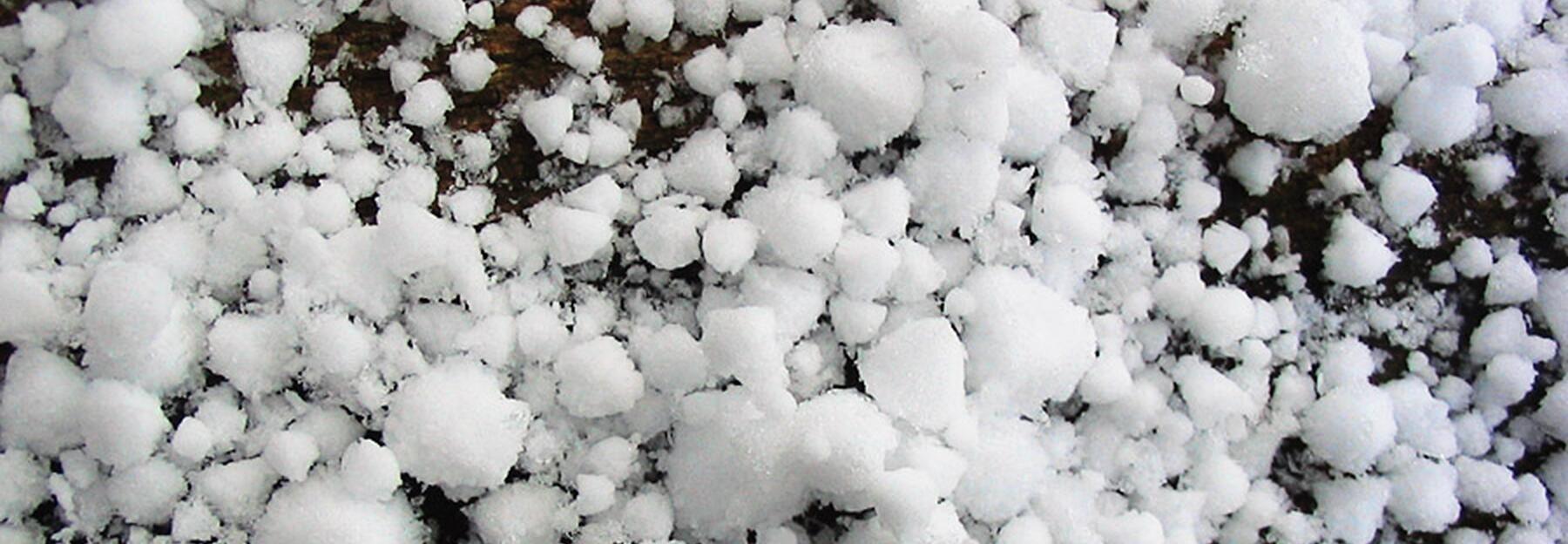 Hagelkörner in der Wiese