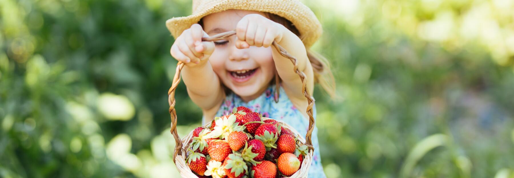 Erdbeeren in einem Korb von einem kleinen Mädchen