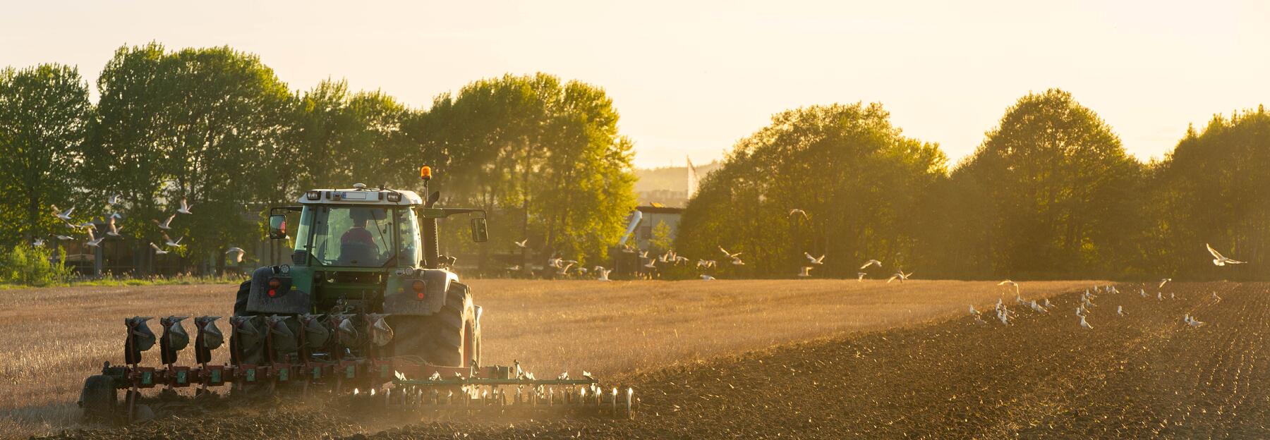 Traktor beim Pflügen im Sonnenaufgang