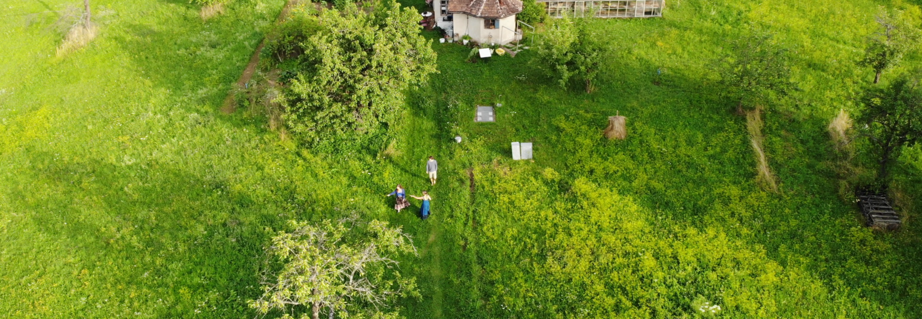 Altbestand der Streuobstwiese im Klostergarten
