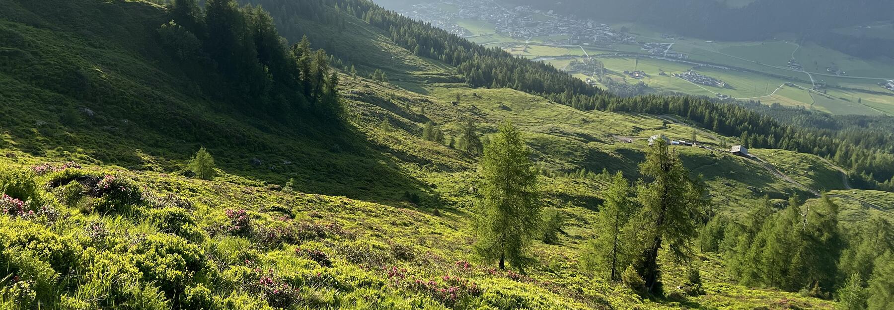 Landschaft