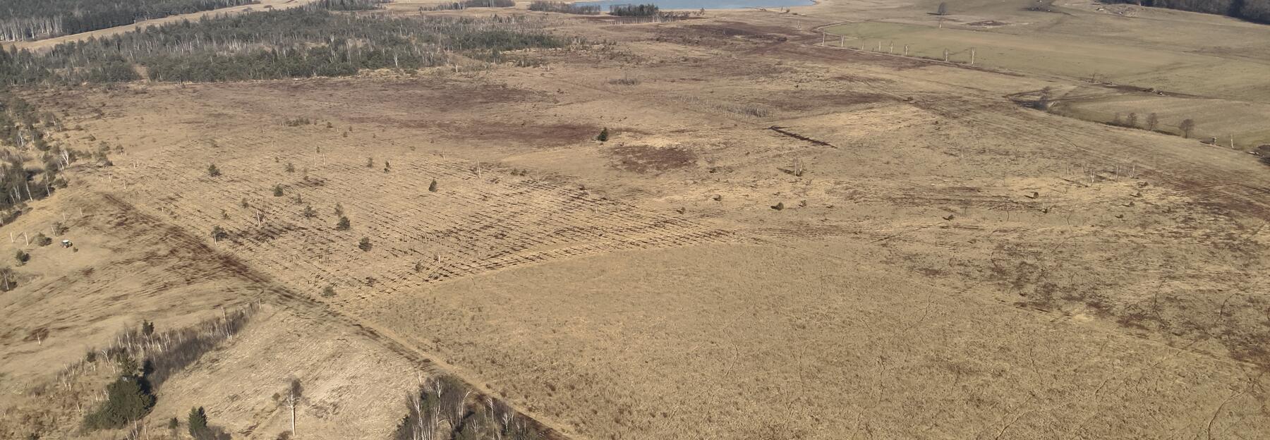 Moorlandschaft Ibmer Moor