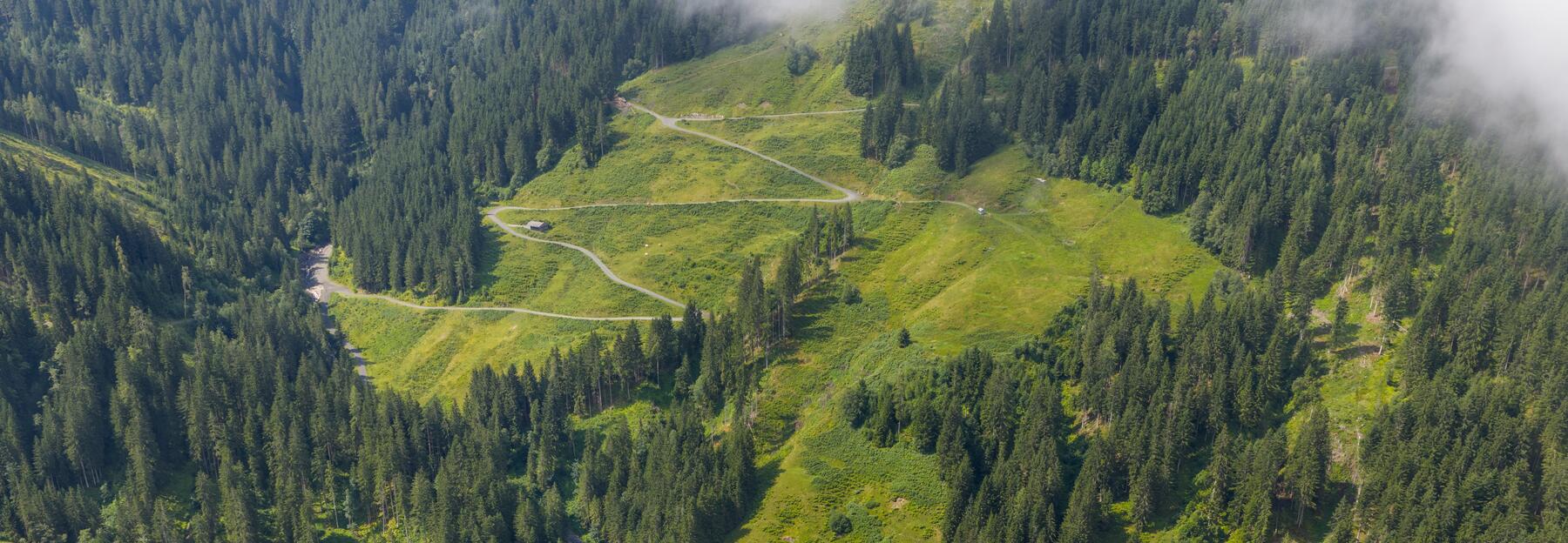 Drohenaufnahme einer grünen Alm, die mit Waldflächen verzahnt ist
