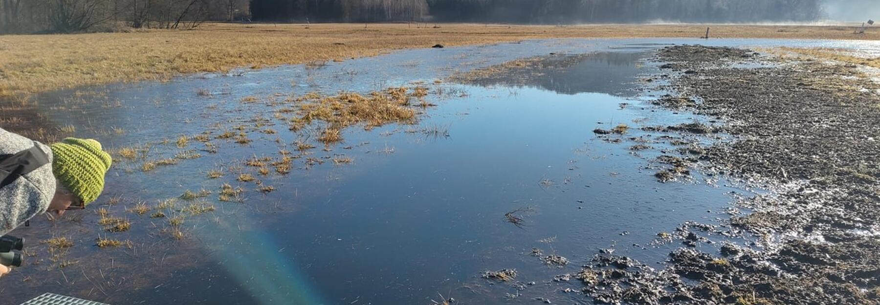 Moorlandschaft