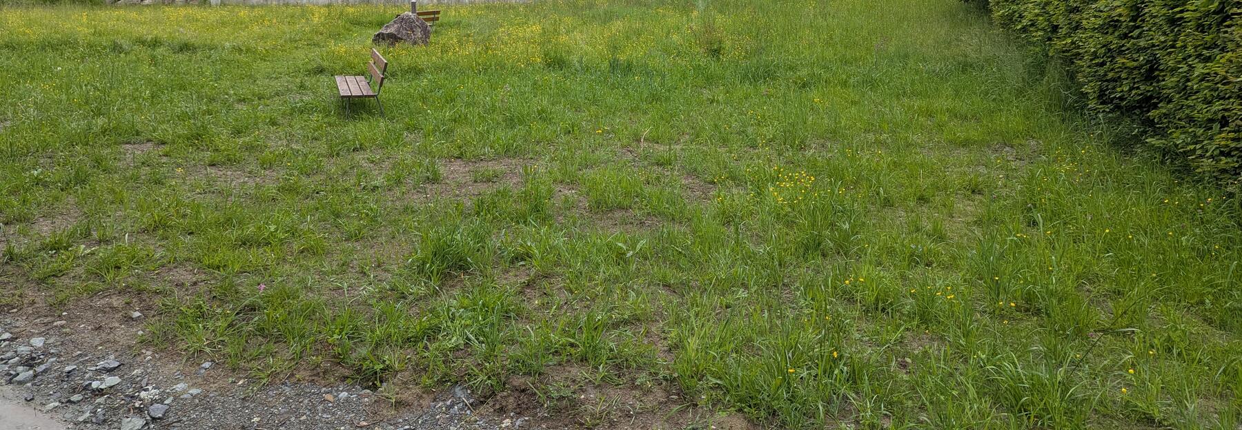Blumenwiese vor einem Haus