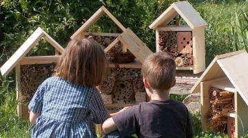 Insektenhotel selber bauen