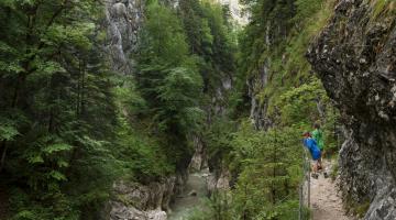 Tiefenbachklamm © Alpbach Seenland Tourismus Tiefenbachklamm
