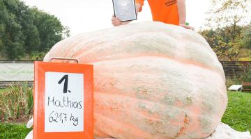 riesenkuerbis_staatsmeisterschaft_sieger-2016_c_diegartentullnfotografiehoch2 © c Die Garten Tulln / Fotografie Hoch 2