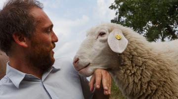 Ronald Wuerflinger mit einem Schaf