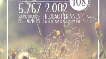 Citizen Science Schmetterlinge