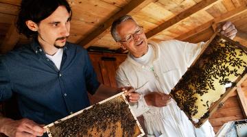 Bienenschutz bei ADEG