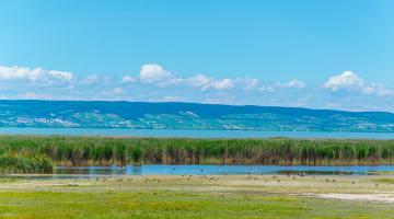 Neusiedlersee