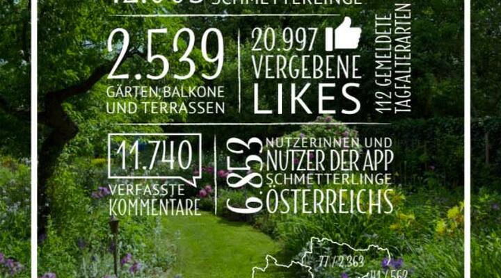 Schmetterlingsgarten Grafik © Blühendes Österreich Schmetterlingsgarten - Bericht