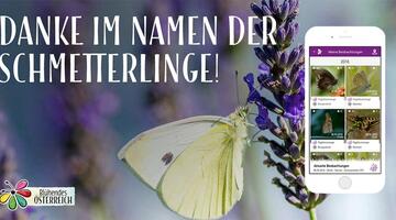 danke an die community © Blühendes Österreich App