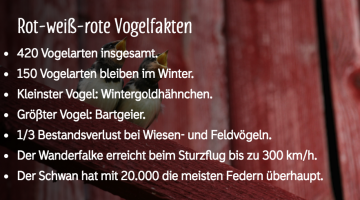 Vogelfakten