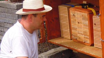 Peter Fuchs vor seinen Wildbienen-Nistkästen