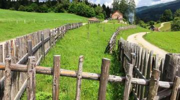 Streuobst-Schaugarten in Tamsweg: Alte Zaunformen umgeben hier alte Apfelsorten.