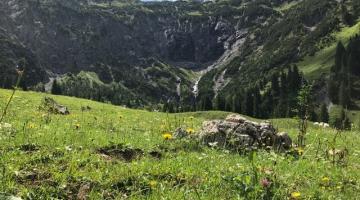 Auf der Gadenalpe ist es Mitte Juli ruhig – die Tiere sind auf den oberen Alpen.
(c) Ch Schwann © Auf der Gadenalpe ist es Mitte Juli ruhig – die Tiere sind auf den oberen Alpen.
(c) Ch Schwann