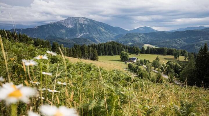 Aussicht von einer Bergwiese