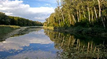 Altarm NP Donau-Auen