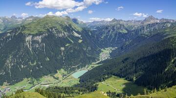 Schutzwald in Vorarlberg