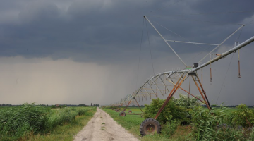 Seewinkel zwischen Landwirtschaft und Naturschutz