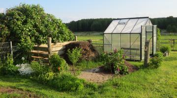 Gewächshaus im Schrebergarten