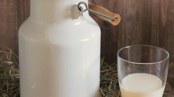 Milchkanne mit einem Glas Milch 