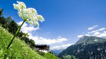 Panorama am Strumerhof
