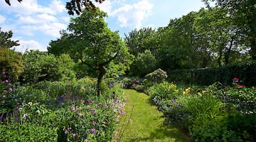 Schmetterlingsgarten © Alexander Haiden/Natur im Garten Schmetterlingsgarten