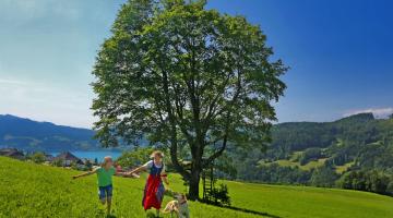 Naturpark Attersee-Traunsee