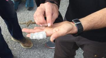 Ein Rosenkäfer streckt ein Bein als „Opfergabe“ von sich © ruhm perdomo Ein Rosenkäfer streckt ein Bein als „Opfergabe“ von sich
