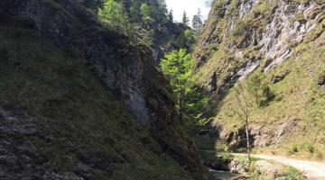 In einer Klamm wechseln Licht und Schatten sehr häufig © ruhm perdomo Bild der Spitzenbachklamm