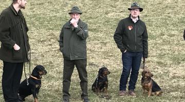Jagd - Jagdhunde haben verschiedenste Aufgaben zu erfüllen. © Christina Schwann Jagd - Jagdhunde haben verschiedenste Aufgaben zu erfüllen.
