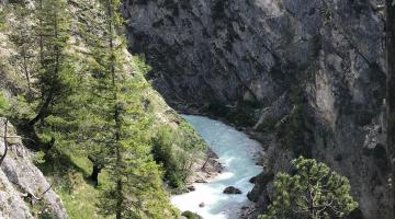 Nature Watch - Die Karwendelschlucht mit ihren geschichteten Kalksteinwänden. © Christina Schwann Nature Watch - Die Karwendelschlucht mit ihren geschichteten Kalksteinwänden.