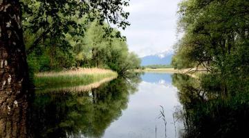 Inn Seitenarme Naturschutzgebiet