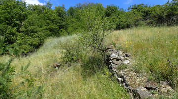 Verbrachender Halbtrockenrasen mit Resten einer Lesesteinmauer nördlich von Retz