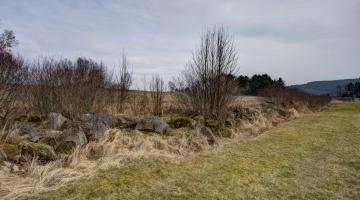 Lesesteinriegel wie hier im Waldviertel entstanden durch lange mühevolle Arbeit der Bauern.