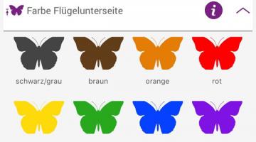 Schmetterlinge Österreich App © Instant, Design GmbH Schmetterlinge Österreich App